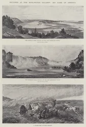 Tableaux à la Burlington Gallery, Grand gibier d